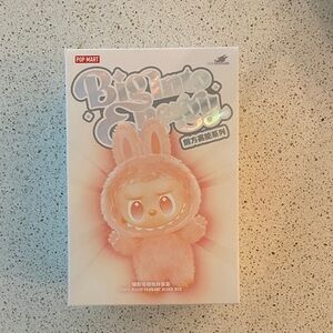 Pop Mart Labubu Blind Box - Authentic